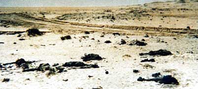 放棄された死体砂漠に放棄されたイラク兵の死体。劣化ウ ラン弾の高熱で黒こげになったそのさまは、絵を通じて被爆者が訴 えたヒロシマの惨状を思い出させる(1991年2月、イラク南 部)=キャロル・ピクーさん提供
